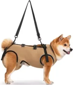 Item thumbnail for item 229bd72a-698b-4f75-992b-6e9889ba4670