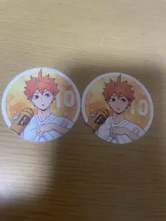 ハイキュー オータムフェア アニメイト 特典 日向翔陽