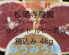 みうみう様　専用