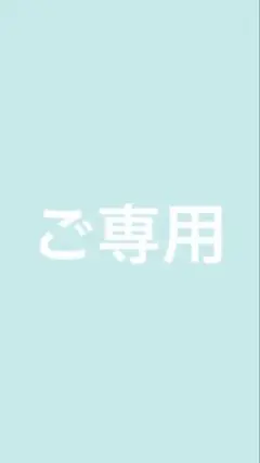 WEGO ウィゴー　パーカー　メッシュ