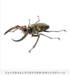 Item thumbnail for item b409a716-c484-4386-91e6-f2645a5c49cb