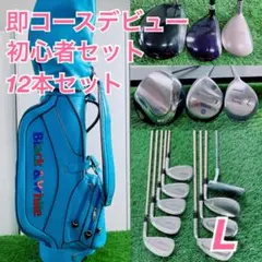 ゴルフクラブ レディース 10本 フルセット 初心者 バッグ付き G3603