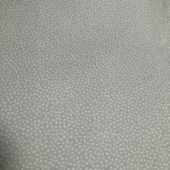 Item thumbnail for item 838c78e2-24fc-40ed-8c05-8b5f81fc4f28