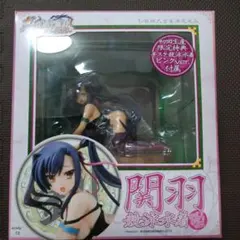 恋姫無双　関羽 水着Ver. フィギュア 1/8スケール