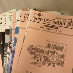 2025年最新】sapix 3年生 夏期講習の人気アイテム - メルカリ