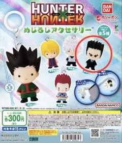 HUNTER×HUNTER めじるしアクセサリー
