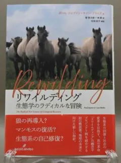 Item thumbnail for item 8aa7eb5a-cf0f-47d5-afd8-3524ab324dcc