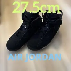 NIKE Air Jordan 6 RETRO メタリックシルバー27.5cm