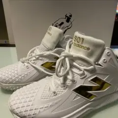 Item thumbnail for item 4ccd20a6-f08b-49d9-8f0b-aa14abd343bb