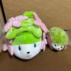 【本日限定価格】もっちりぬいぐるみシェイミなど アローラロコン 本日限定価格】もっちりぬいぐるみシェイミなど アローラロコン