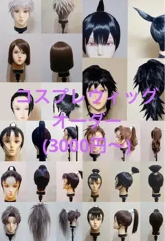 ◎コスプレ ウィッグ セット 依頼 オーダー - メルカリ
