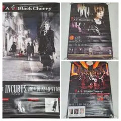 Acid Black Cherry ポスターB2 3枚セット - メルカリ