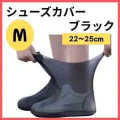 Item thumbnail for item 2f5f1dd6-ed82-4dfe-bd2e-1030ea86a212