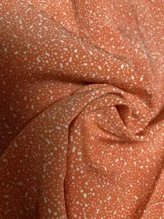 Item thumbnail for item 701f4a2e-8e5f-4ad1-a0d5-18b75a7dce64