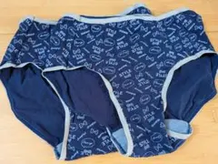 Item thumbnail for item 3b21fa91-cd7b-4a0d-8606-65d504cffdad