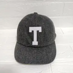 THE NORTH FACE ロゴフランネル キャップ NN41616