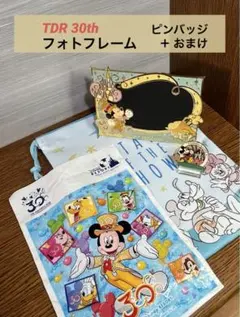 フォトフレーム、ピンバッジ （TDR 30th）　＋おまけ♡