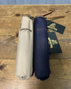 Item thumbnail for item ba23e544-56b7-4cdf-8978-6c2ae2610fef