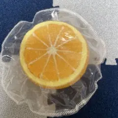 侃侃 かんかん みかん オレンジ プリン スクイーズ - メルカリ