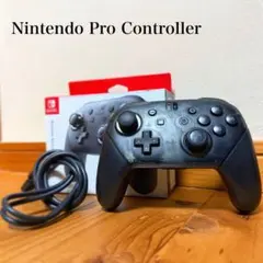 Nintendo Pro Controller