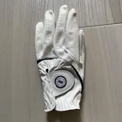 Item thumbnail for item f2a5be31-311b-4c45-8991-f167af58bb52