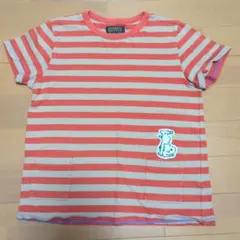 MARKY'S BIG FIELD Tシャツ 140cm