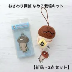 Item thumbnail for item 6e65a913-332a-4dd1-8f79-4bd766cabfa4