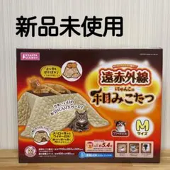 Item thumbnail for item 4eb0267f-e621-4eee-a396-840f53b09864