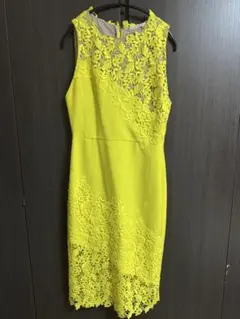 alice + olivia ノースリーブひざ丈ワンピース