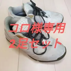 コロ様専用2足セット　NIKE SB ZOOM AIR URL Grey　青黒