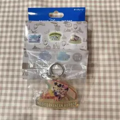 【新品未使用】ディズニー キーチェーン ミッキー ミニー　ソアリン