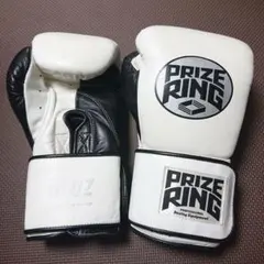 Item thumbnail for item 6f108b13-3ebb-4ef0-8ed9-56282894cc63