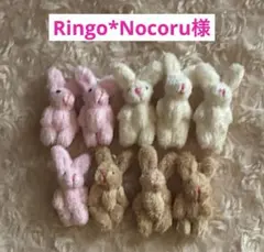 Ringo*Nocoru様用セット