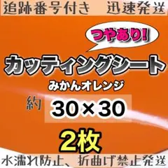 Item thumbnail for item bc6b5ab7-ca5e-48e7-86d0-a277fdc8fd5a