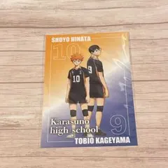 ハイキュープラザ ポストカード