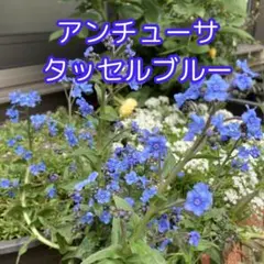 m様 リクエスト 2点 まとめ商品