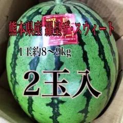 お得な2玉！熊本県産 羅王ザ・スウィート プレミアムスイカ - メルカリ