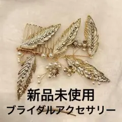 Item thumbnail for item 8073b1dd-fc1e-4451-a360-a021ed1d1c38