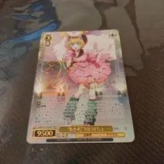 ssp ヴァイスシュヴァルツ