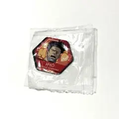 サカモトデイズ　くら寿司　マグネットシート 豹 篁