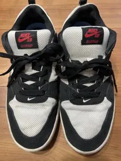 Nike SB Alleyoop スニーカー