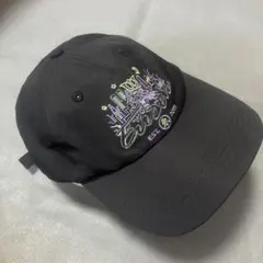 ル*ト様 EVISU エビス メッシュキャップ evisu ブラックswag y - メルカリ