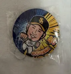 福岡ソフトバンクホークス 若鷹ガチャ笹川吉康 ＆ 杉山一樹 缶バッジ 2