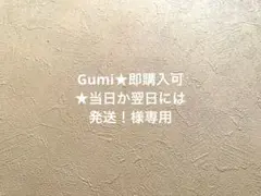 Gumi★即購入可★当日か翌日には発送！様専用*:.ღパラコードスマホストラップ