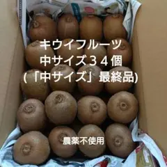 キウイフルーツ　中サイズ34個(「中サイズ」最終品)