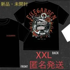ellegarden 般若 Tシャツ Lサイズ 新品未開封 ELLEGARDEN 般若Tシャツ - メルカリ