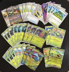 メガフシギバナex オーガポンみどりのめんex メガニウム　活力の森など