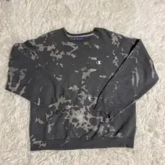 チャンピオン トレーナー