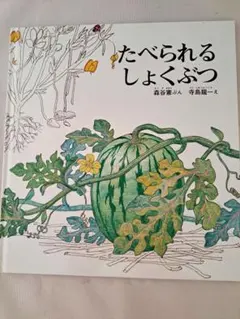 みーちゃん様 リクエスト 4点 まとめ商品