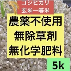 □令和7年 コシヒカリ 玄米/白米 5kg 無農薬 天日干し 晴れの国 - メルカリ